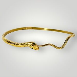 Blackhead Empty Town-Snake Hinged Choker Necklace 4.57” Diameter